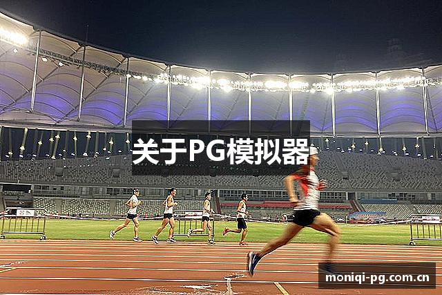 关于PG模拟器